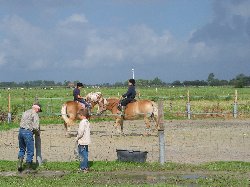 Ponyreiten